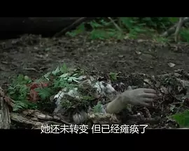中东谍影